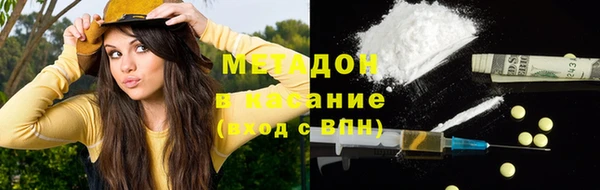 прущие грибы Абаза