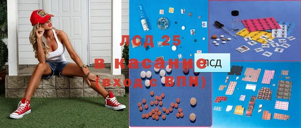 прущие грибы Абаза