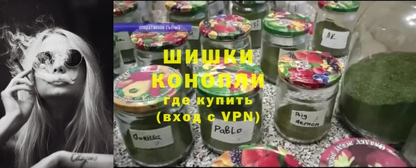прущие грибы Абаза